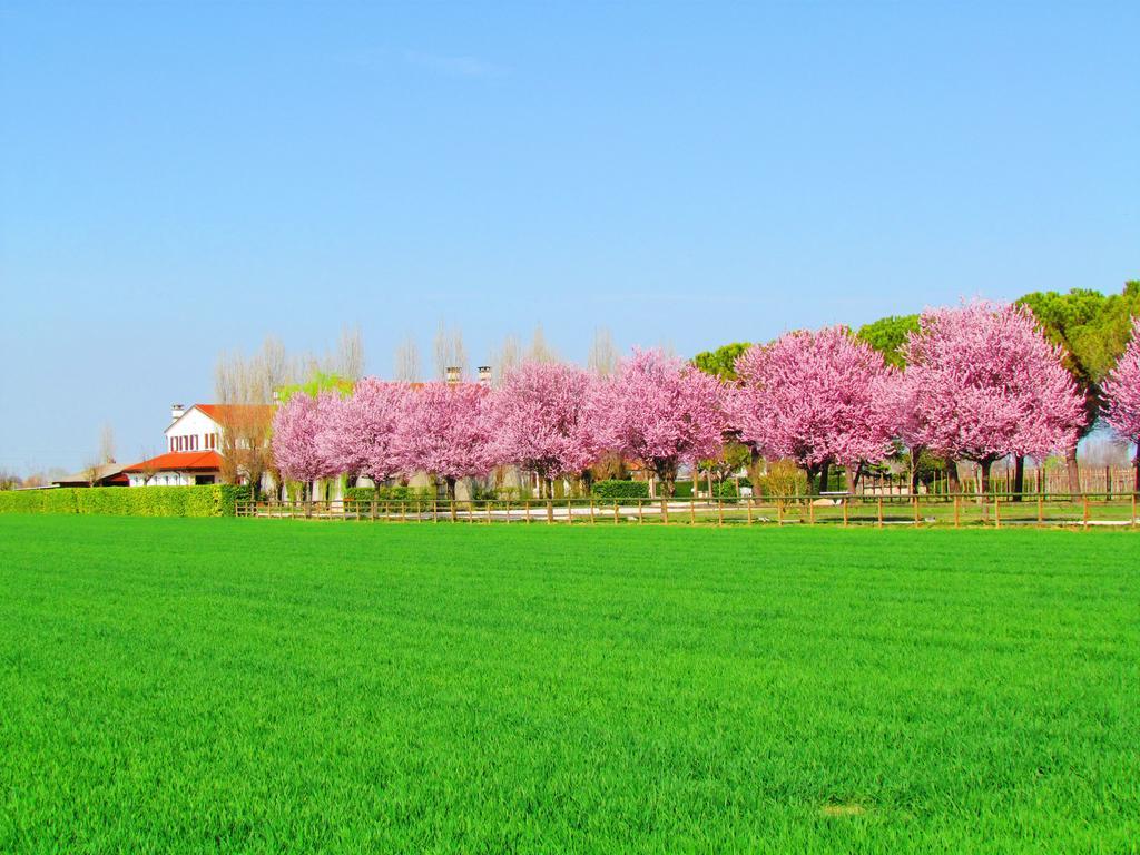 Agriturismo Le Cipressine เมลโล ภายนอก รูปภาพ