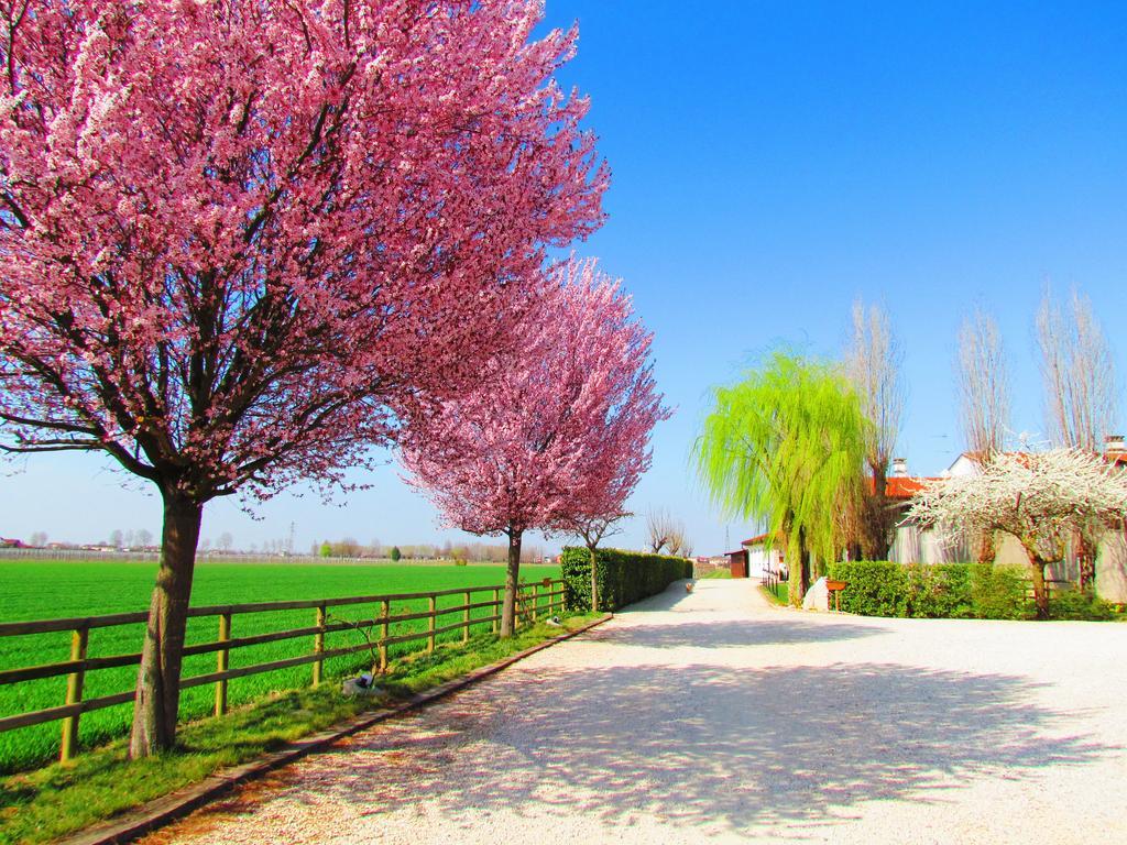 Agriturismo Le Cipressine เมลโล ภายนอก รูปภาพ