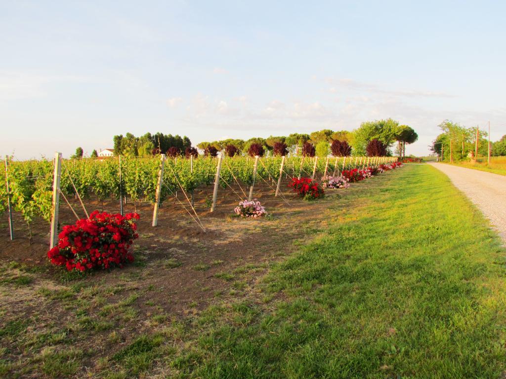Agriturismo Le Cipressine เมลโล ภายนอก รูปภาพ